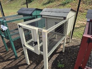 Single Rabbit Hutch-image