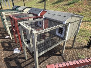 Single Rabbit Hutch-image